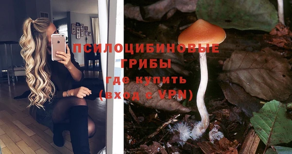 а пвп мука Алексеевка
